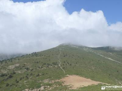 El Techo de Valsaín: Conquistando el Montón de Trigo: andar caminar deprisa caminata rápida benefici